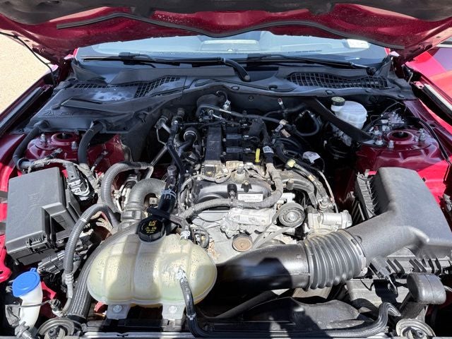 2021 Ford Mustang EcoBoost